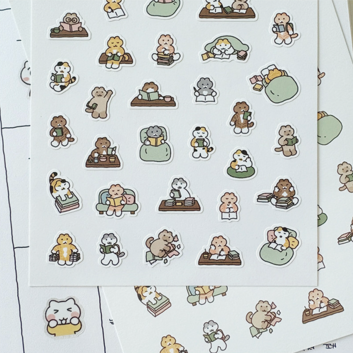 Catbbang Little Book Sticker